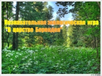 Презентация для внеклассного мероприятия по экологии. Познавательная экологическая игра В царстве Берендея для детей и их родителей.