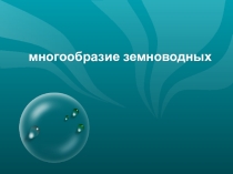 Презентация по теме многообразие земноводных по биологии 7 класс