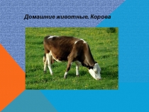 Презентация по окружающему миру на тему: Домашние животные