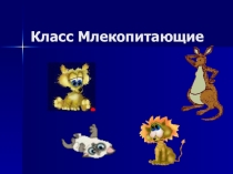 Презентация по биологии на тему  Общая характеристика млекопитающих