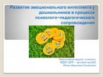 Развитие эмоционального интеллекта у дошкольников в процессе психолого-педагогического сопровождения