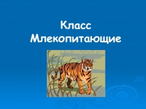 Презентация открытого внеклассного мероприятия