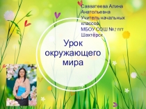 Презентация по окружающему миру по теме Будь природе другом (2 класс)