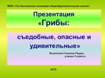 Презентация по окружающему миру на тему Грибы