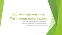 Презентация по физике на тему Постоянные магниты. Магнитное поле Земли (8 класс)
