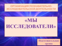 Презентация проекта по организации познавательно - исследовательской деятельности с детьми Мы исследователи