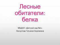 Лесные обитатели. Белка