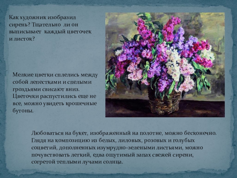 Презентация по русскому языку на тему Описание картины П.П.Кончаловского Сирень в корзине(5 класс) Как художник изобразил сирень? Тщательно ли он выписывает каждый цветочек и Как художник изобразил сирень? Тщательно ли он выписывает каждый цветочек и листок?Мелкие цветки сплелись между собой лепестками