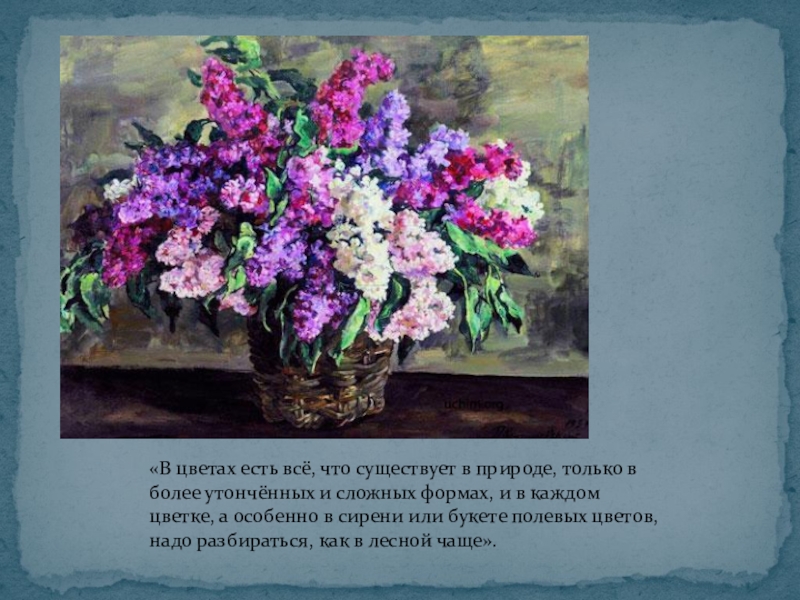 Презентация по русскому языку на тему Описание картины П.П.Кончаловского Сирень в корзине(5 класс) «В цветах есть всё, что существует в природе, только в более «В цветах есть всё, что существует в природе, только в более утончённых и сложных формах, и в