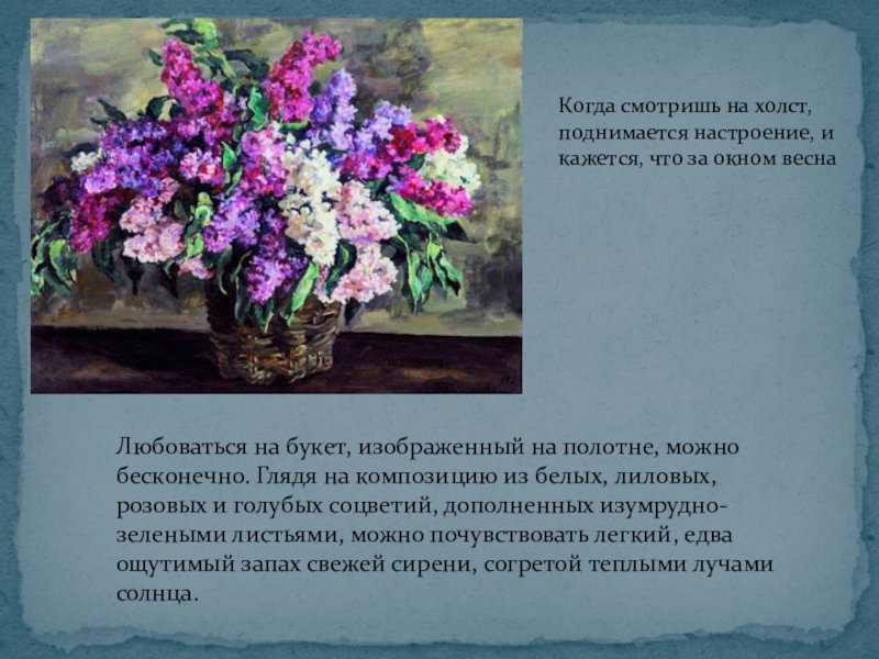 Презентация по русскому языку на тему Описание картины П.П.Кончаловского Сирень в корзине(5 класс) Любоваться на букет, изображенный на полотне, можно бесконечно. Глядя на композицию Любоваться на букет, изображенный на полотне, можно бесконечно. Глядя на композицию из белых, лиловых, розовых и голубых