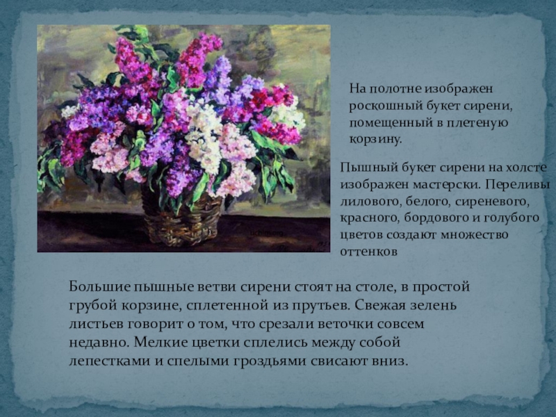 Презентация по русскому языку на тему Описание картины П.П.Кончаловского Сирень в корзине(5 класс) На полотне изображен роскошный букет сирени, помещенный в плетеную корзину. Пышный На полотне изображен роскошный букет сирени, помещенный в плетеную корзину. Пышный букет сирени на холсте изображен мастерски.