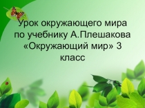 Презентация по окружающему миру на тему  Царство грибов. ( 3 класс)