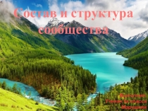 Презентация по биологии  Состав и структура сообщества