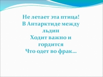 Презентация по окружающему миру на тему Пингвины (3 класс)