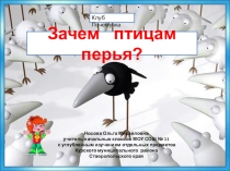 Почемучка Зачем птицам перья?