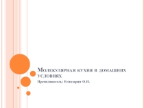 Интернет проект, повар, молекулярная кухня