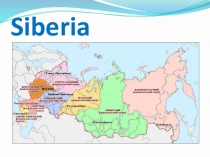 Презентация по английскому языку Сибирь