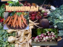 Презентация по ПМ 01 Организация приготовления и приготовления сложной кулинарной продукции на тему Корнеплоды