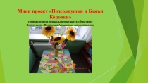 Мини проект по экологическому воспитанию для детей среднего дошкольного возраста Подсолнушки и Божья коровка