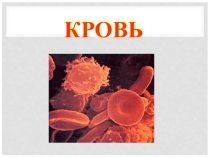 Презентация для класса с углубленным изучением биологии по теме Кровь