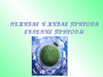 Этот удивительный мир