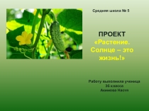 Проект Растения. Солнце - это жизнь!
