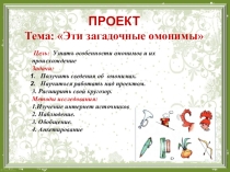 Презентация. Проект Эти загадочные омонимы