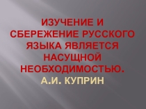 Презентация по русскому языку