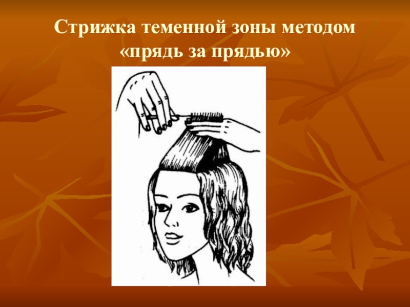 Презентация по дисциплине стрижка и укладка волос на тему Женская стрижка волос Каскад Стрижка теменной зоны методом «прядь за прядью» Стрижка теменной зоны методом «прядь за прядью»
