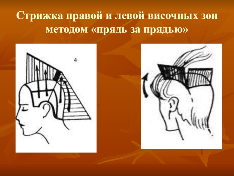 Презентация по дисциплине стрижка и укладка волос на тему Женская стрижка волос Каскад Стрижка правой и левой височных зон методом «прядь за прядью» Стрижка правой и левой височных зон методом «прядь за прядью»