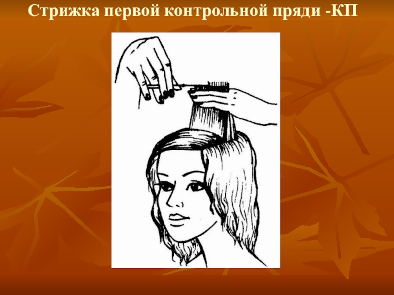 Презентация по дисциплине стрижка и укладка волос на тему Женская стрижка волос Каскад Стрижка первой контрольной пряди -КП Стрижка первой контрольной пряди -КП