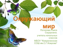 Что мы знаем о народах России