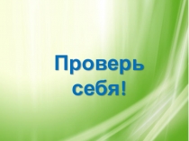 Презентация -тест пазл по биографии В.Г.Короленко