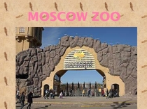 Презентация по английскому языку на тему Moscow zoo. ( 6 класс).