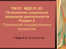 Презентация Тема 3.4. Восприятие