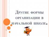 Другие формы организации в начальной школе