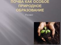 Почва как особое природное образование