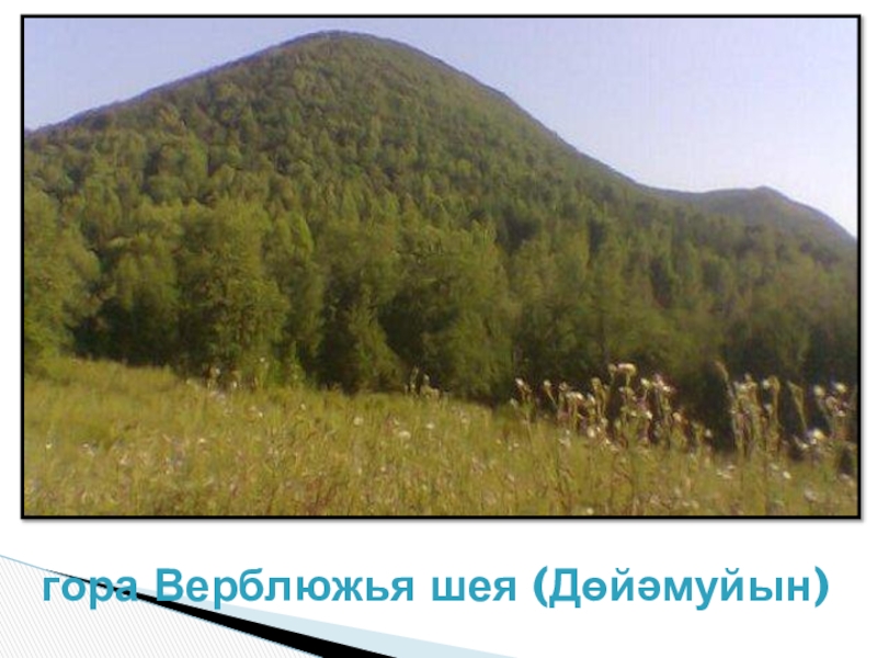Презентация по теме Земля в настоящем и будущем. гора Верблюжья шея (Дөйәмуйын) гора Верблюжья шея (Дөйәмуйын)