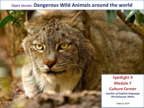 Презентация по английскому языку на тему  Dangerous Wild Animals around the world (9 класс