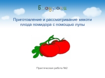 Презентация по теме  Клетка