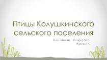 Презентация Птицы для среднего звена в коррекционной школе