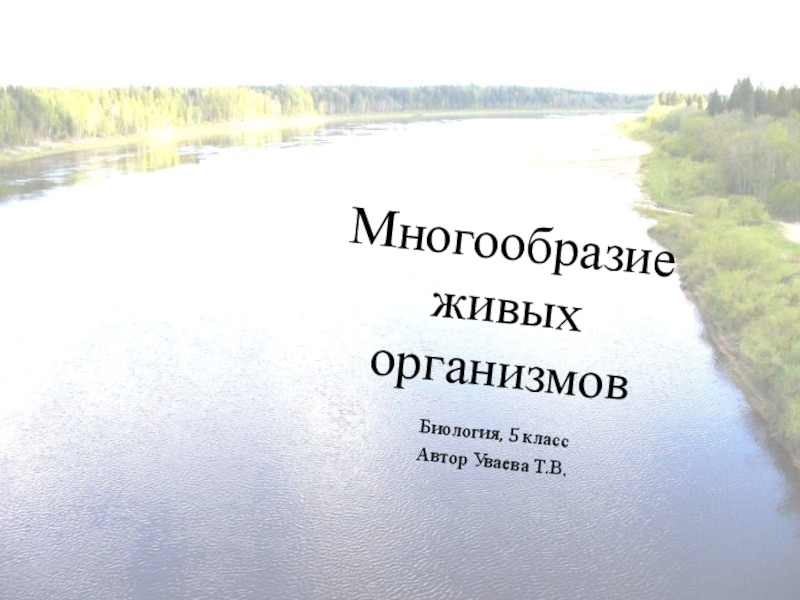 Презентация Презентация к уроку биологии в 5 классе по теме