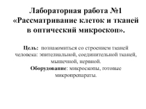 Электронный образовательный ресурс методическая разработка презентация Лабораторная работа №1Рассматривание клеток и тканей в оптический микроскоп