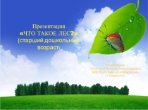 Презентация по экологии Что такое лес