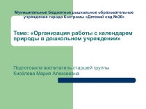 Презентация Организация работы с календарем природы в дошкольном учреждении