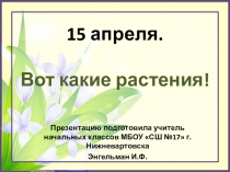 Презентация по экологии на тему Вот какие растения (ландыши)