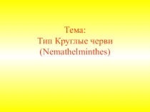 Презентация по биологии 7 класс на темукруглые черви