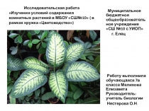 Презентация по биологии на тему Цветоводство