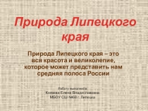 Презентация по краеведению Природа Липецкого края
