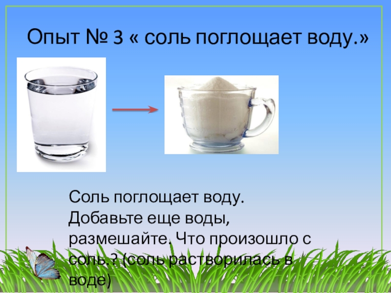 Добавить соль воду добавлять. Опыты с соленой водой для дошкольников. Соль поглощает воду. Эксперименты с соленой водой для дошкольников. Опыты и эксперименты с солью для дошкольников.